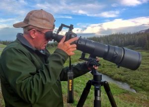 Jackson Hole Tour Guide