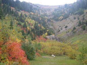 fall in jackson hole